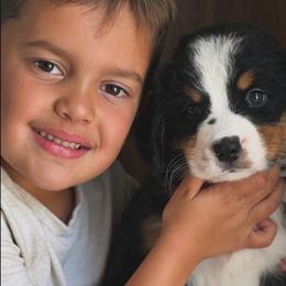Daisy - Tri-color female Bernese Mountain Dog puppy in Yuciapa, California from AlltheDoodlez_