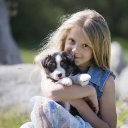 Australian Shepherd Puppies from Trinity Aussies