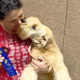 Roni - Soft Coated Wheaten Terrier