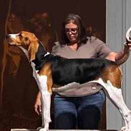 Dodge - Treeing Walker Coonhound