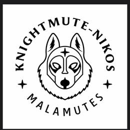 Boy 1 - Gray and white male Alaskan Malamute puppy in Mount Morris, Michigan from Knightmute-Nikos Malamutes