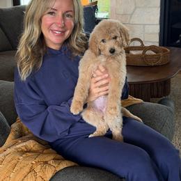 Prince Eric - Brown male Bernedoodle puppy in Yuba City, California from Ranch House Doodles