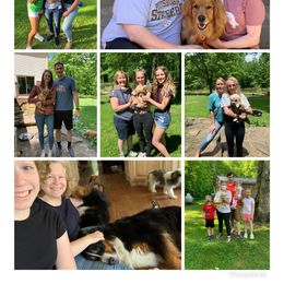 Goldendoodle Puppies from Dood Ranch Doodles