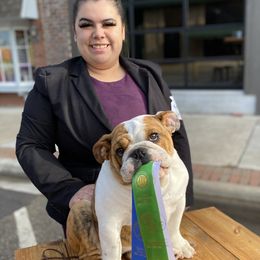 Bulldog Puppies from Select Bulldogs