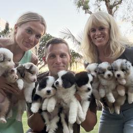 Australian Shepherd puppies from C-Star Australian Shepherds