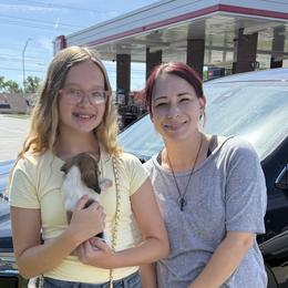 Lilly AKC 3000 - Piebald female Dachshund puppy in Bartlesville, Oklahoma from OkieDokieDox