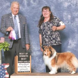 Shetland Sheepdog All Grown Up from MESA Shelties