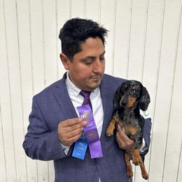 Wynter - Dachshund