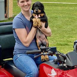 Doberman Pinscher Puppies from Jensen Dobermans