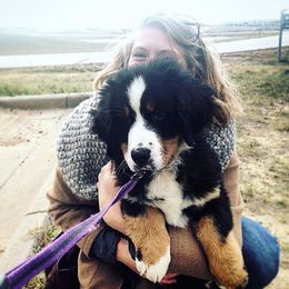 "Our breeding female: Monarda (FCI registered name Willow Bersaltyna) comes to us from Kennel Bersaltyna in Czech Republic." Bernese Mountain Dog Puppies from Grand Mesa Mountain Dogs