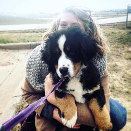 "Our breeding female: Monarda (FCI registered name Willow Bersaltyna) comes to us from Kennel Bersaltyna in Czech Republic." Bernese Mountain Dog Puppies from Grand Mesa Mountain Dogs