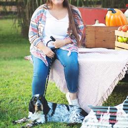 Collie and English Springer Spaniel All Grown Up from Briarcreek