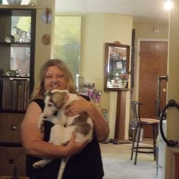 Borzoi Puppies from Kelcorov