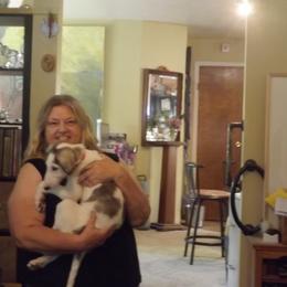 Borzoi Puppies from Kelcorov