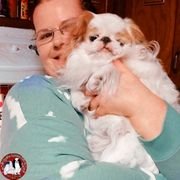 Falcor - Japanese Chin