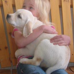 Labrador Retriever Puppies from Shadowhawk Labrador Retrievers
