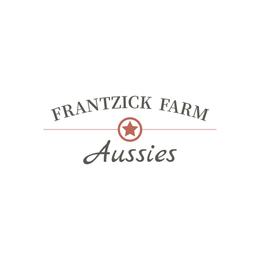 Australian Shepherd Puppies from Frantzick Farm Aussies