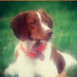 Premier's Isabell  - Brittany
