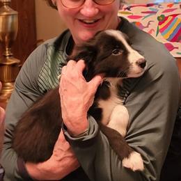 Border Collie Puppies from Cascade Sun Kennels