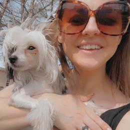 Chihuahua and Chinese Crested Puppies from Western Kentucky Chihuahua’s and Chinese Crested’s