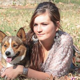 Pembroke Welsh Corgis from Springer's Corgis