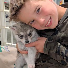 Nash - Gray and white male Alaskan Klee Kai puppy in Shelbyville, Tennessee from Gems Rat Terriers