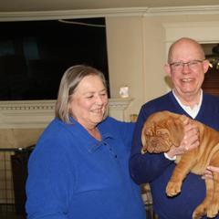 Dogue de Bordeaux Puppies from Bolshaya Bordeaux