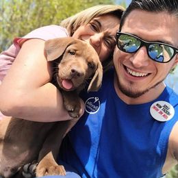 Labrador Retriever Puppies from Rick's Retrievers