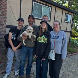 Labrador Retriever Puppies from Red Barn Family Labs