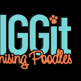Poodles from iDIGGit Promising Poodles