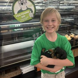 Cavapoo Puppies from Shoemaker Cavapoo Kennel