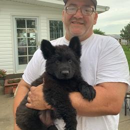 Beagle and German Shepherd Puppies from Nebraska K9's