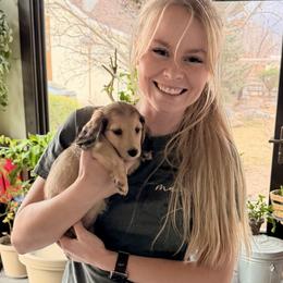 Dachshunds from Glossy Doxies