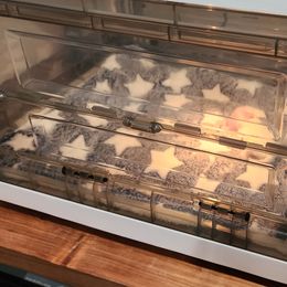 Chihuahua Puppies from Precious Paws of Florida