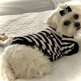 Maltese Puppies from The Royal Furbabies