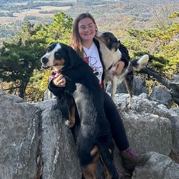 Greater Swiss Mountain Dogs from Snow Drift Swissy's