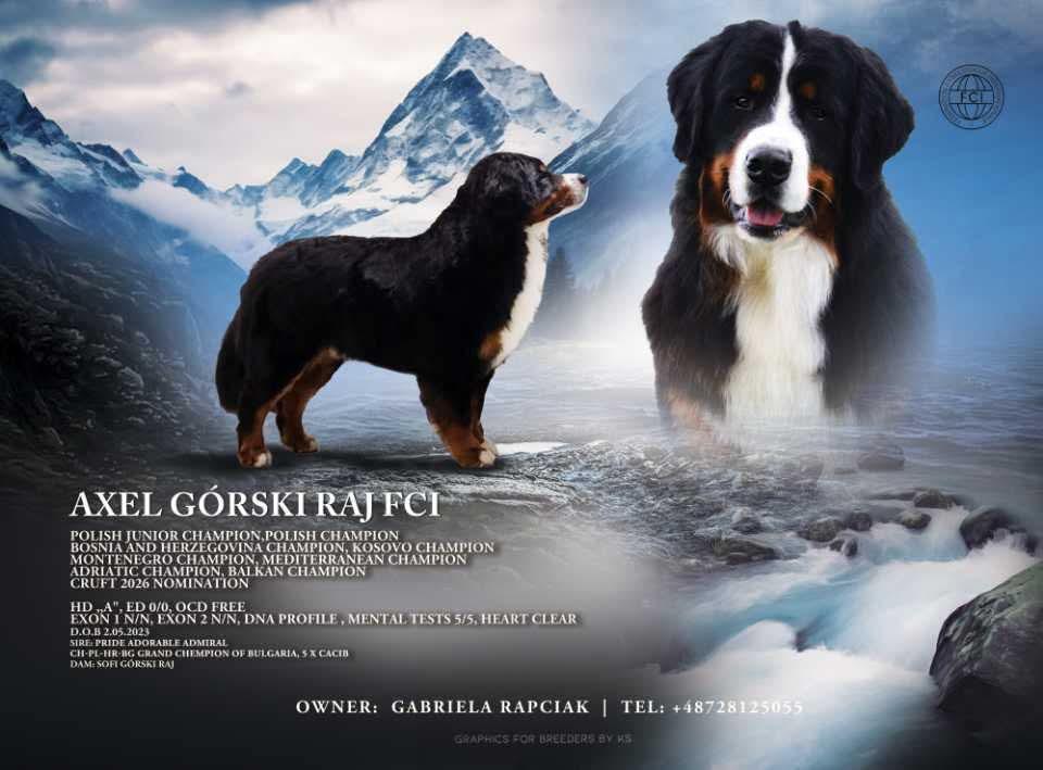 Axel