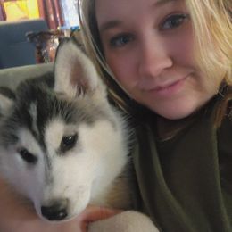 Siberian Husky Puppies from Spirit of the Moon Siberians