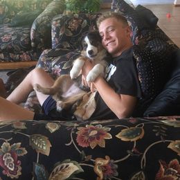 Australian Shepherd Puppies from Toni Thompson's Australian Shepherds