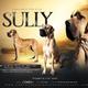 Sully