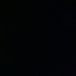 Shimmer - Black and tan female Dachshund puppy in Live Oak, Florida from Johnson’s Weiner Farm