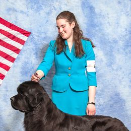 Newfoundlands from Paragon Newfoundlands
