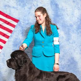 Newfoundlands from Paragon Newfoundlands
