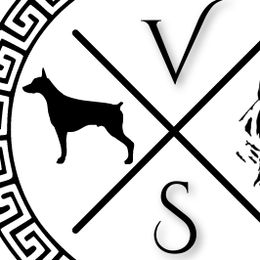 Doberman Pinschers from Valois Suprême Dobermanns