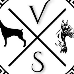 Doberman Pinschers from Valois Suprême Dobermanns