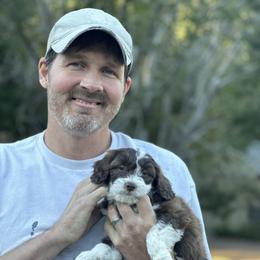 Aussiedoodle Puppies from Dinah Doodles and Aussies