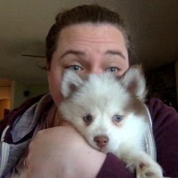 Pomsky Puppies from Angel's Creek Pomskies