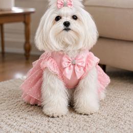 Marshmallow - Maltese