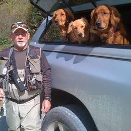 Golden Retriever All Grown Up from StoneFly Retrievers