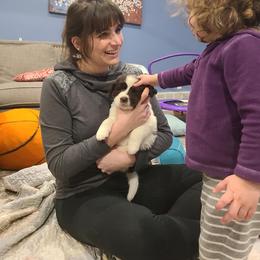 Newfoundland Puppies from Vermillion Newfoundlands